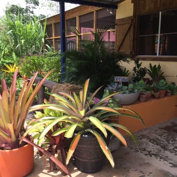 Jannelly's Kitchen Restaurant - Latin American Near Me - Juana Díaz, Puerto Rico Jannelly's Kitchen Restaurant - Latin American Near Me - Juana Díaz, Puerto Rico