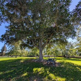 Wakeham Park - trees - Parks Near Me - Costa Mesa, California Wakeham Park - trees - Parks Near Me - Costa Mesa, California