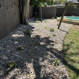 Rock work and plants Rock work and plants