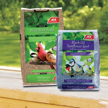 Carroll Ace Hardware - Hardware Stores Near Me - Carroll, Iowa