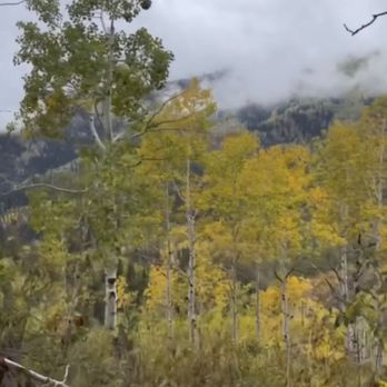 Adventourage - Gorgeous views even with the clouds. - Bike tours Near Me - Midway, Utah