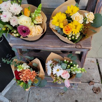 Dandelion Flowers and Gifts - Florists Near Me - Alameda, California Dandelion Flowers and Gifts - Florists Near Me - Alameda, California