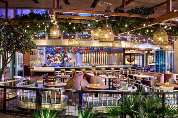 Sheraton Phoenix Downtown by null