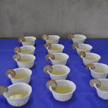 Zoom Room Dog Training - bark-a-ritas! - Pet Training Near Me - Austin, Texas Zoom Room Dog Training - bark-a-ritas! - Pet Training Near Me - Austin, Texas
