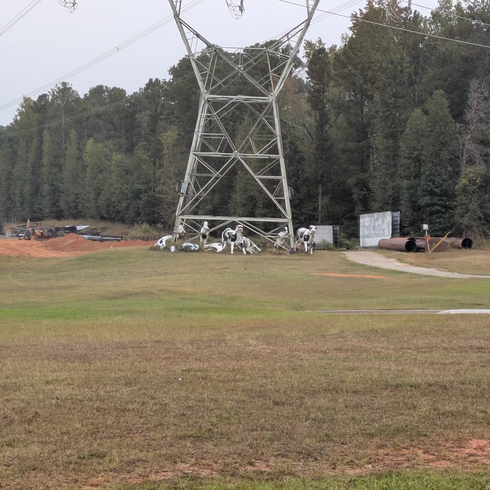 Electrocuted Cows - Electrocuted Cows, Conyers - Public Art Near Me - Conyers, Georgia