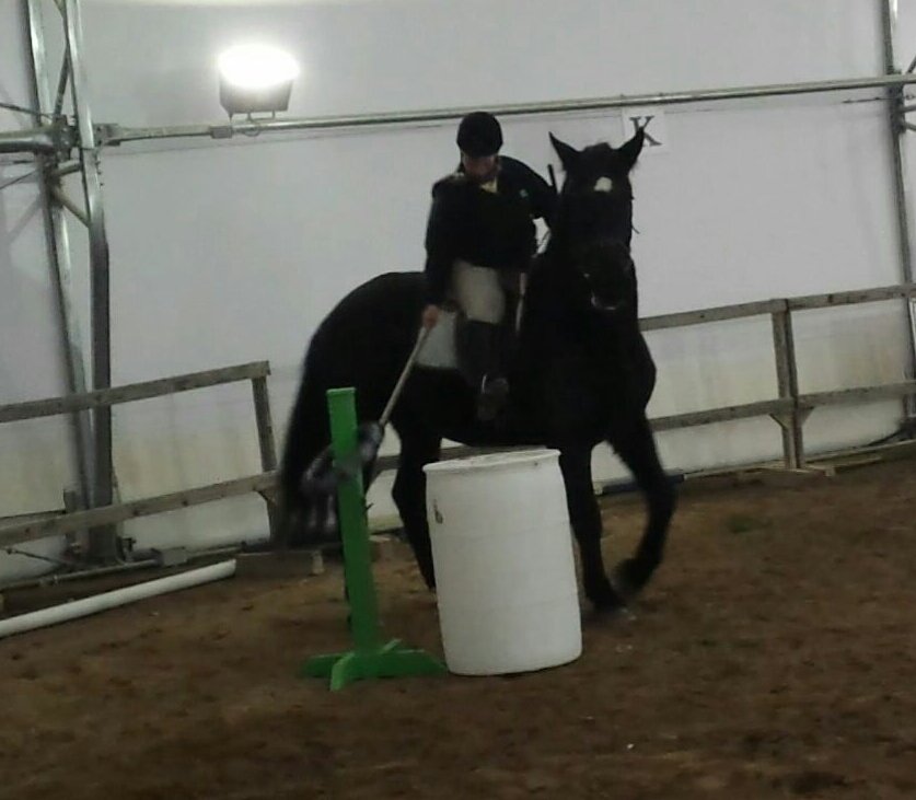 Shepherds Way Farm - equestrian in Berkley, MA