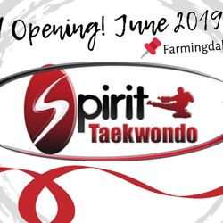 Spirit Taekwondo - Grand Opening!