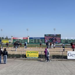 At the paddock At the paddock