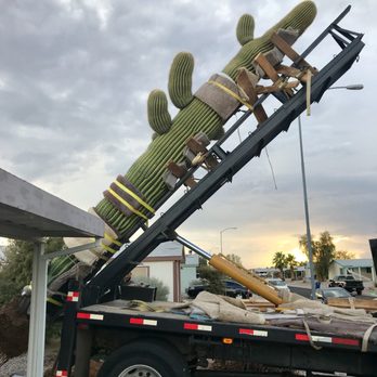 Preserving Tree and Cactus Service - Tree Services Near Me - Wittmann, Arizona Preserving Tree and Cactus Service - Tree Services Near Me - Wittmann, Arizona
