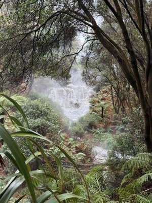Hell's Gate Geothermal Reserve and Mud Spa by null