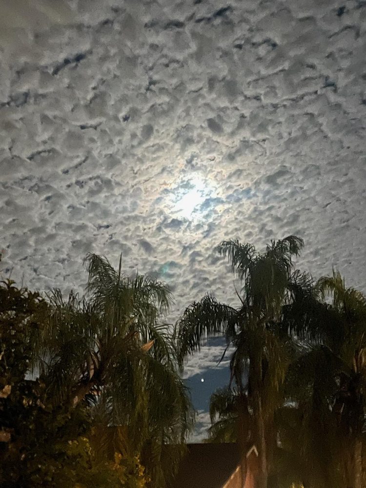 Jackson South Medical Center - patient advocate in Miami, FL