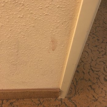 Comfort Inn & Suites - Is that blood? Poop? Pudding? Fml. - Hotels Near Me - Dover, Delaware Comfort Inn & Suites - Is that blood? Poop? Pudding? Fml. - Hotels Near Me - Dover, Delaware