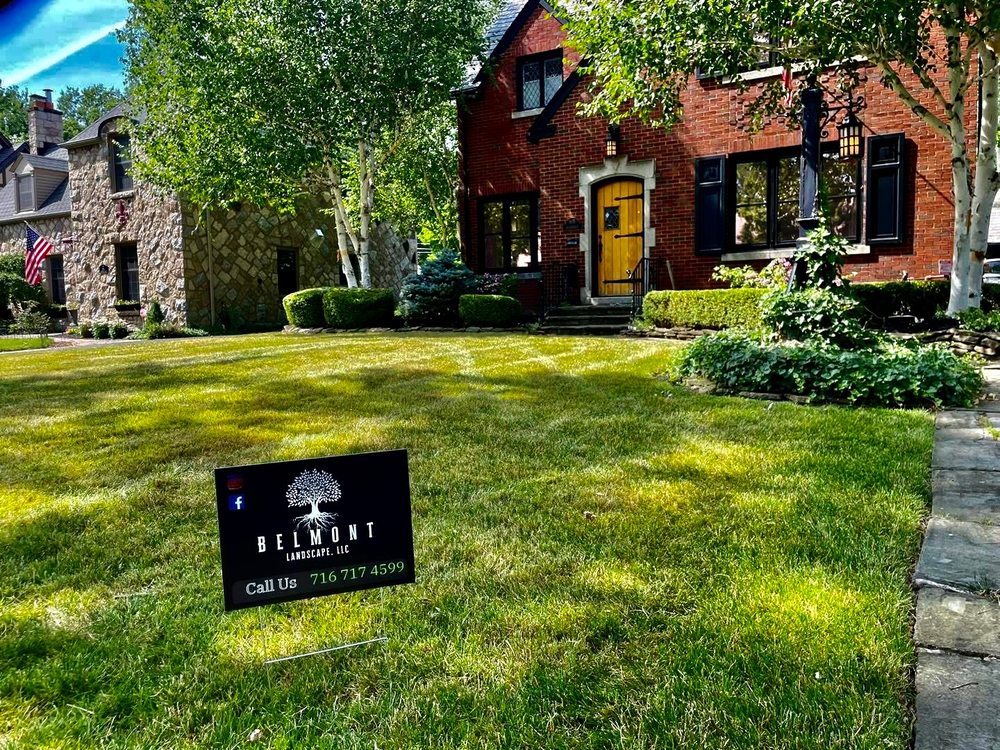 Belmont Landscape - tree service in Buffalo, NY