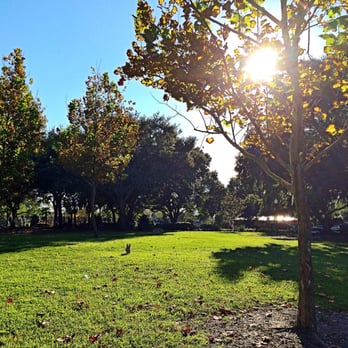 Crest Lake Dog Park - Dog Parks Near Me - Clearwater, Florida