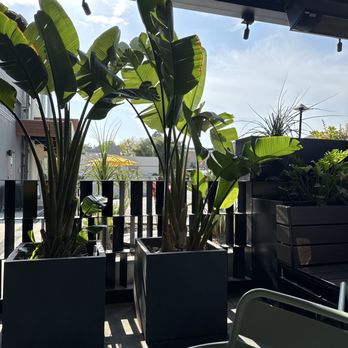 La Popular - Cocktail Bars Near Me - Claremont, California