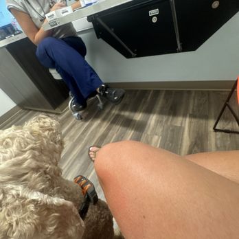 Bay Beach Veterinary Hospital - Puppers listening very closely to all the meds she has to take on the table - Veterinarians Near Me - Virginia Beach, Virginia Bay Beach Veterinary Hospital - Puppers listening very closely to all the meds she has to take on the table - Veterinarians Near Me - Virginia Beach, Virginia