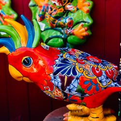Armstrong Garden Centers - Bird imagery