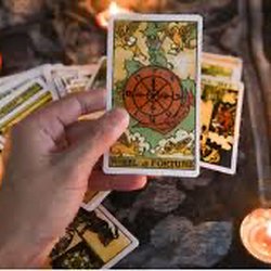 Reader and Advisor - Tarot card reading