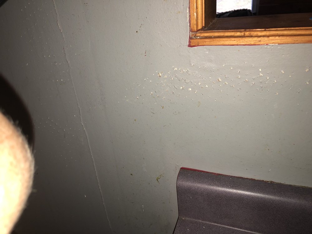 Slide of Marksman plumbing and construction