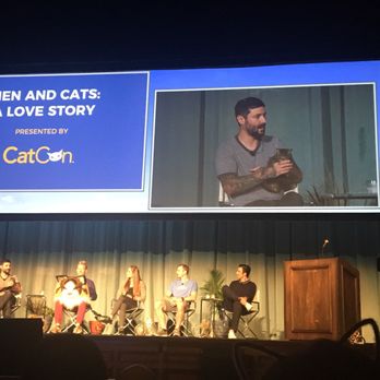 CatCon - lil bub! - Pet Adoption Near Me - Pasadena, California