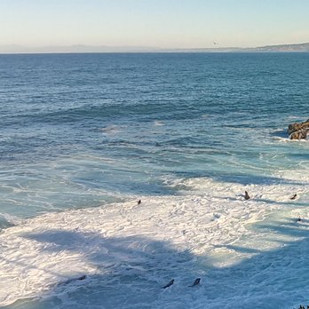 Children's Pool - Beaches Near Me - La Jolla, California Children's Pool - Beaches Near Me - La Jolla, California