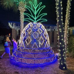 James Island Festival Of Lights - The pineapple