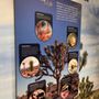 Photo of Joshua Tree Visitor Center
