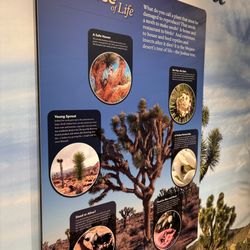 Joshua Tree Visitor Center - Tree of life