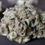 Photo of High Life Group