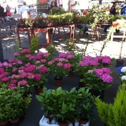 Marché aux fleurs Réformés