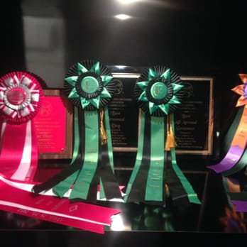 Top Grooming NYC - Pet Groomers Near Me Top Grooming NYC - Pet Groomers Near Me