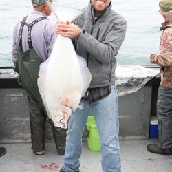 Alaska Fishing Charter - One of my halibut, August 2018