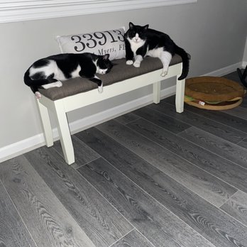 PetSmart - Resting for now... - Pet Training Near Me - Cape Coral, Florida PetSmart - Resting for now... - Pet Training Near Me - Cape Coral, Florida