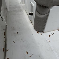 Gulf Shores Power Sports & Marine - Boat after 5 1/2 weeks at GSPS service department