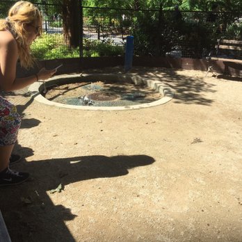 Washington Square Park Large Dog Run - This is a photo from the small Dog run in Washington Square Park and as you can see - there is a circular water spouter - Dog Parks Near Me - New York, New York Washington Square Park Large Dog Run - This is a photo from the small Dog run in Washington Square Park and as you can see - there is a circular water spouter - Dog Parks Near Me - New York, New York