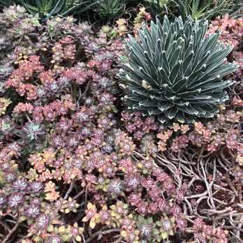 Chicago Botanic Garden - Botanical Gardens Near Me - Glencoe, Illinois