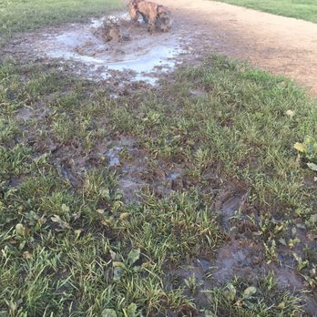 Badger Prairie Park - Doesn't this look nice?? - Dog Parks Near Me - Verona, Wisconsin