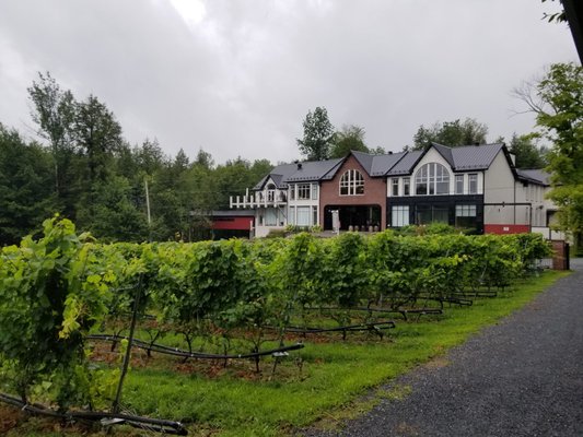 Le Vignoble du Ruisseau - Winery & Cidery by null