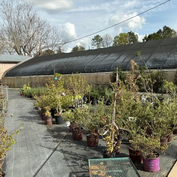 D & J Nursery - Nurseries & Gardening Near Me - Dothan, Alabama D & J Nursery - Nurseries & Gardening Near Me - Dothan, Alabama
