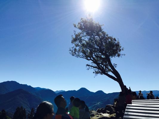 Qingjing Farm by null