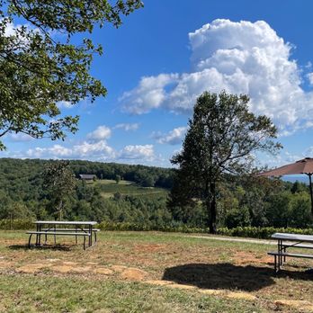 Terra Incognita Vineyard - Venues & Event Spaces Near Me - Clarkesville, Georgia
