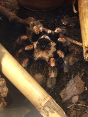 Casa de la Ciencia by null