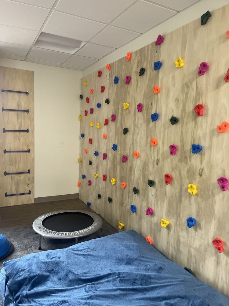 OTEIM-Occupational Therapy Empowering Individual Minds - child therapist in Mission Viejo, CA