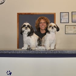 City Paws - Margaret, PJ & Pebbles