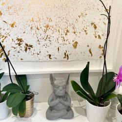 West Delray Veterinary - Meditating Frenchie