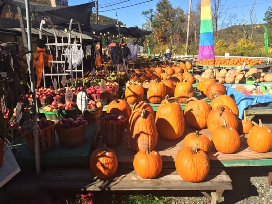 CULVER LAKE NURSERY & FARM MARKET - Updated August 2025 - 15 Photos ...