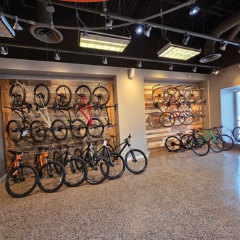 Spoke Life Cycles - Bike Repair/Maintenance Near Me - Maumee, Ohio Spoke Life Cycles - Bike Repair/Maintenance Near Me - Maumee, Ohio