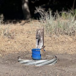 Dripping Springs Campground - Buckets of water left out for the wildlife