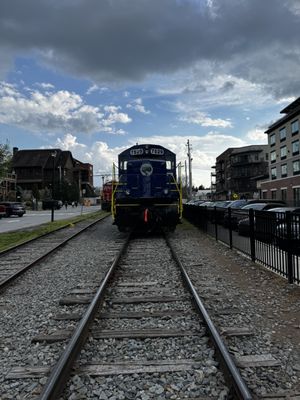 Blue Ridge Scenic Railway by null