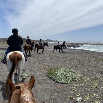 Ricochet Ridge Ranch - Beach riding - Tours Near Me - Fort Bragg, California